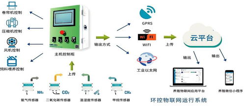 智慧農業新篇章 基于植物生長模型的AI數字化大棚物聯網設備